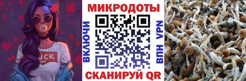 купить наркоту  Киренск  Галлюциногенные грибы прущие грибы 